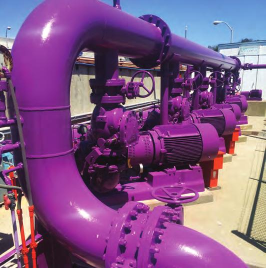 What s in those purple pipes? Water is arguably the most precious resource on the planet, without which life would cease to exist.