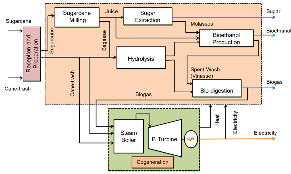 Sugarcane biorefinery Adopted from