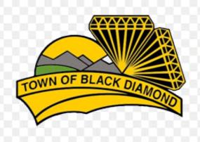Town of Black Diamond Description Metric Population 2,373 Annual MSW Disposal Rate (tonnes) Per Capita Disposal (tonnes/year) 1,228 0.