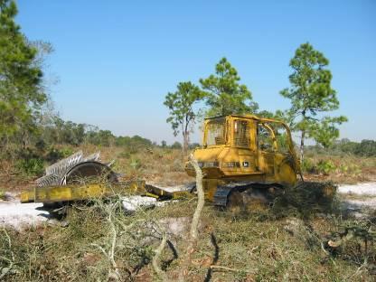 Restoring the Scrub Overgrown scrub vegetation is difficult reduce with prescribed