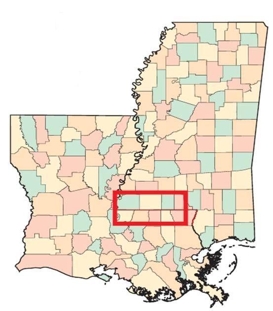 30 TUSCALOOSA MARINE SHALE Emerging Shale Oil Play 72,000 Net Acres Leased Net Cost ~ $13 Million or $180/Acre Vintage Wells
