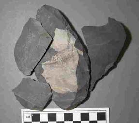 asp ARCHAEOLOGY IN MINNESOTA: 2010 Project Report