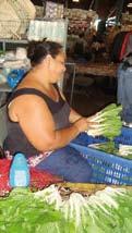 Supporting sectoral strategies Fruits and Vegetables in Samoa Governmental priorities Coordination committee: In Samoa, the formulation of a global strategy for the