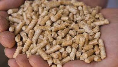 Wood Pellets KD Quality Pellets Phase 1 45,000 tonne capacity Phase 2 200,000 tonne (nearing completion) Industries Lacwood 7,000