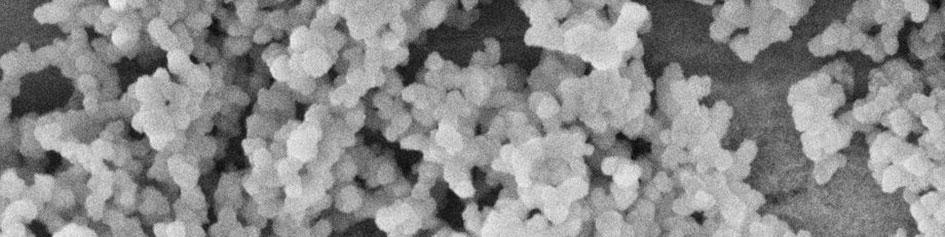 Figure S6 SEM image of silicon produced from 