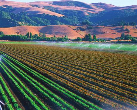 Most of the population of the state lives, however, in Southern California. The central region contains the most farmland.
