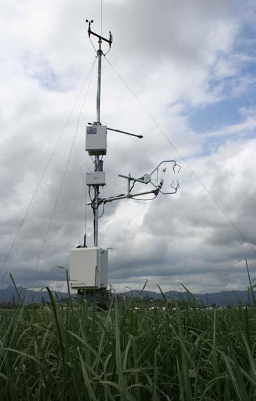 Micrometeorological trace-gas flux station Continuous half-hourly, measurements throughout the