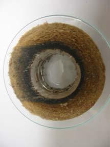 Figures 12 show the effect of this cleaner on a segment of the guard cartridge filter that was fouled during the upset condition. The as received segment is shown in Figure 12.1. It is loaded with oil and with iron sulphide.