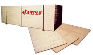 Plywood Plywood is a panel product consisting of thin wood veneers (plies) glued together.