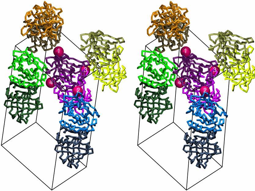 2 1 Ion bridging stable protein-protein contacts Serve to form the crystal