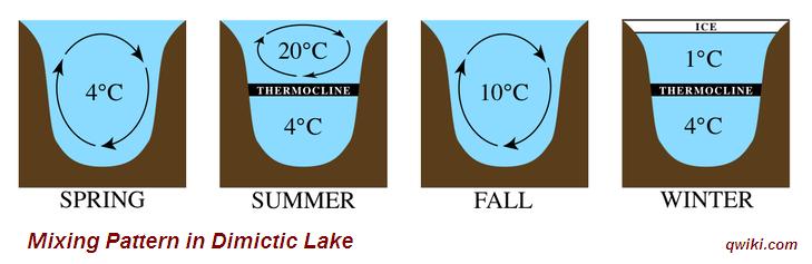 Color / DOC influences lake stratification Sunlight warms water Sunlight penetration depth is a prime factor in