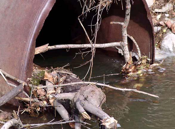 Practical Considerations Culverts Clean