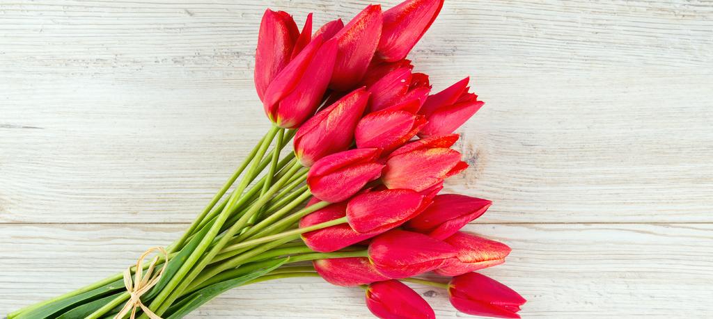 Background For the past 19 years, The Lung Association has been running its Tulip Campaign with resounding success, thanks to the incredible efforts of our volunteers across the province.