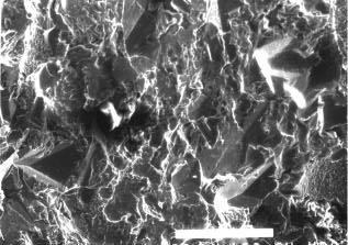 Figure 12. Steel Surface Impacted by a 7 MPa DIAjet at 300X Magnification.