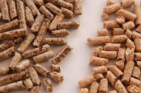 Biomass Pellet Fuels Minnesota companies focusing on biomass pellets for home or light industrial