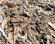 Biomass for BioPower in Manitoba Forest biomass wood residues from sawmills Agriculture residues straw from grain Energy crops Animal wastes