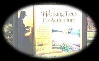 For more information about agroforestry, visit the USD