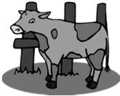 LIVESTOCK ASSISTANCE PROGRAM Emergency Livestock Assistance