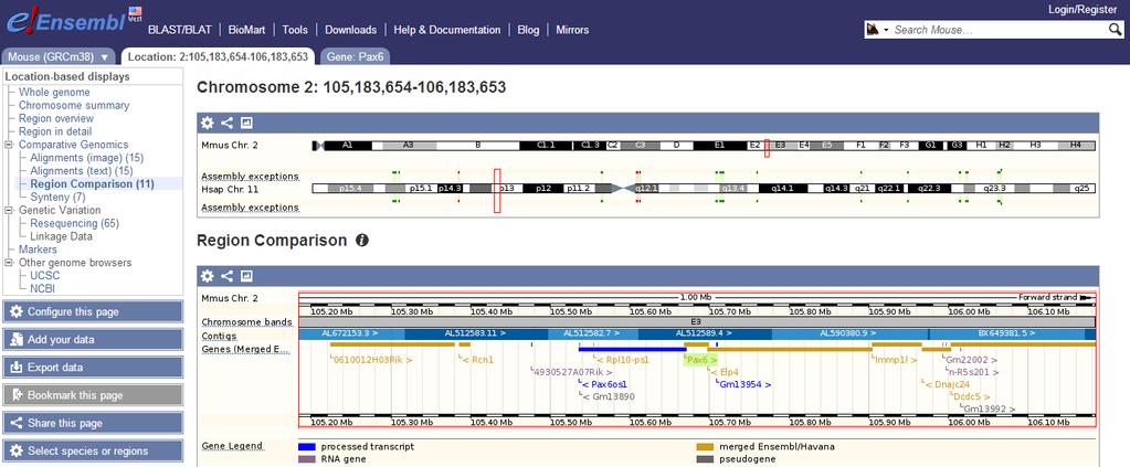 ❶ ❷ ❸ Figure 7: Enseml Genome Browser showing mouse and