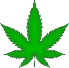 Marijuana Legalization Vermont s marijuana legalization law, among other things, eliminates penalties for possession of one ounce or less of