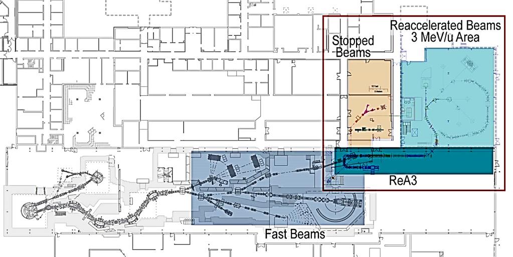 Rare Isotope Production At MSU NSCL Coupled Cyclotron Facility Stopped Beam Area Re-Accelerated Beams Experimental Hall Coupled Cyclotrons Accelerate Primary Beam Re-Accelerator (Existing SRF Linac)