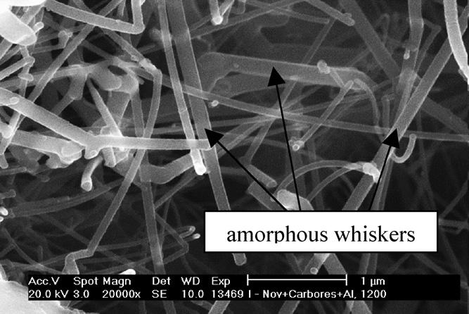 Model-composition I, magnification 20,000, coked at 1200 C in air and sealed by carbon in an alumina crucible, mostly amorphous whiskers containing Al, C, O in the previous position of aluminium