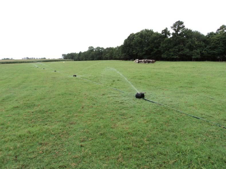 Pod-Line Irrigation System (Low Pressure) Series of pod sprinklers on a drag hose Each pod irrigates 50 ft. x 50 ft.