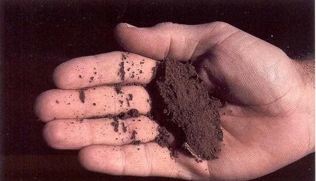 Soils - Loam Loam soil is good