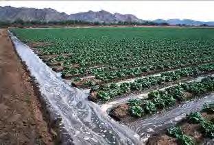 Types of Irrigation Surface Irrigation Water is applied to the