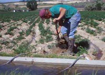 Surface Irrigation Advantages After constructed, it is easy to