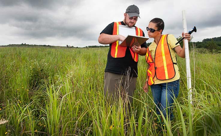 Field collection Photo: Ian Forte (left) and Cassandra Krul (right) collecting field data