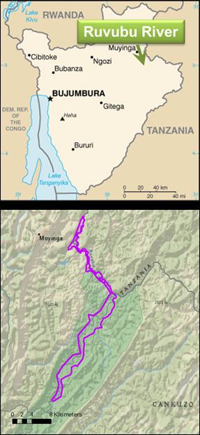 Potential for Irrigation Development Ruvubu River Area Burundi The Nile Basin Initiative (NBI), under the Nile Equatorial Lakes Subsidiary Action Program (NELSAP) and the project Regional
