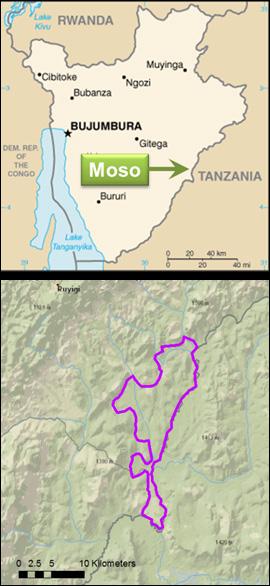 Potential for Irrigation Development Moso Area Burundi The Nile Basin Initiative (NBI), under the Nile Equatorial Lakes Subsidiary Action Program (NELSAP) and the project Regional Agricultural Trade