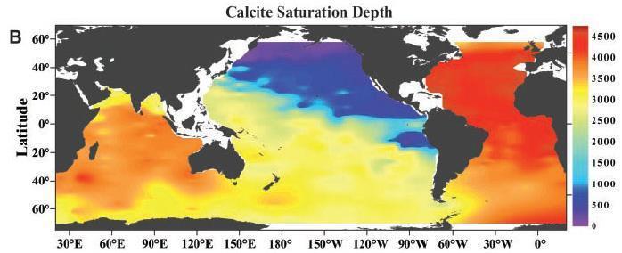 Ocean Acidification: the global depth picture m m North Pacific Ocean reductions in CaCO 3 saturation greater due to respiration along