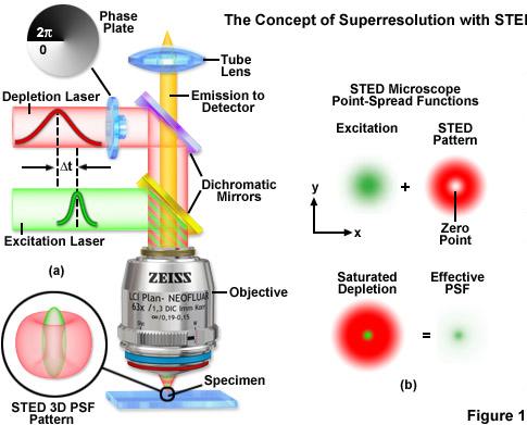 STED theory The smallest spot we can excite is a diffraction
