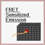 Page 1 of 8 FRET Sensitized Emission Function The FRET Sensitized Emission wizard is used for measuring the FRET efficiency.