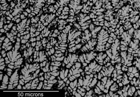 modified Murakami s solution for 30 seconds to reveal the microstructure. The microstructure of the coating is shown in Figures 5(a) and 5(b).