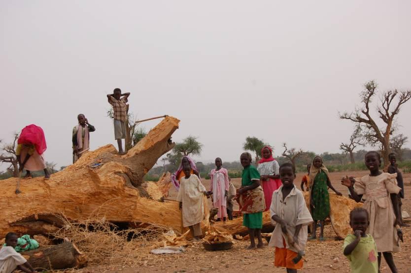 Belt by 2030 home to several million rural Sudanese Ongoing deforestation crisis in northern and central Sudan Large scale displacement and conflict