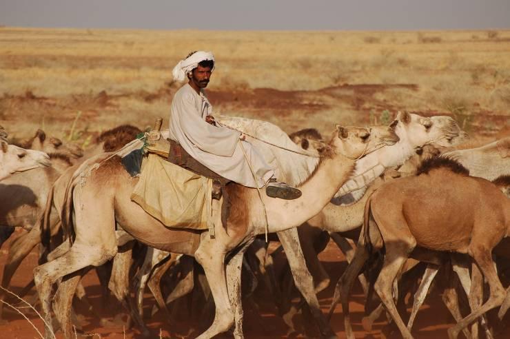 Environmental degradation and resource scarcity as an underlying cause of conflict in dryland Sudan- including Darfur Competition for scarce resources