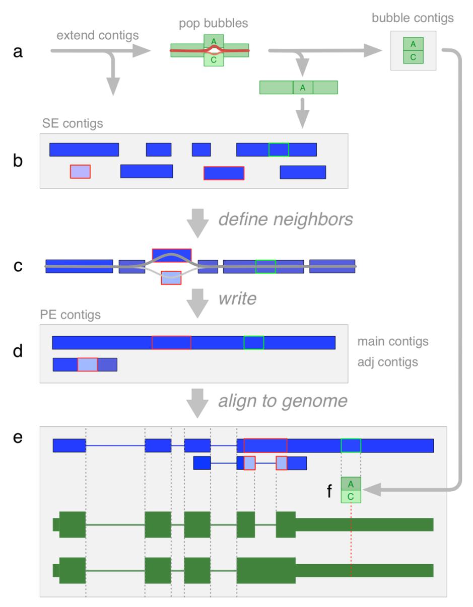 Transcriptome Assembly Transcriptome assembly is different from genome assembly varying coverage levels varying