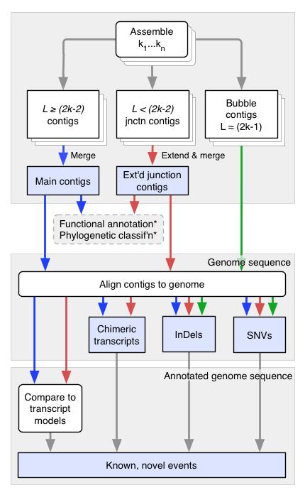 SNV discovery Chimeric transcript discovery