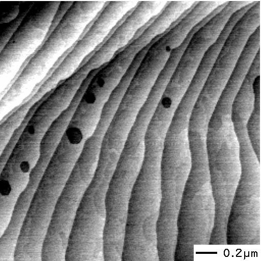 Figure 1 AFM image of SiC(0001) surface following the Si-cleaning step.
