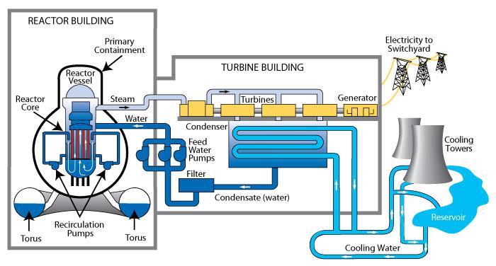VFD Application in a BWR Feed Water Pumps Primary Plant: - Reactor Recirculation Pump - Cooling water for Rx - Typically 2 RRPs per Rx - One VFD per RRP Secondary Plant: - Condenser Circulating Pump