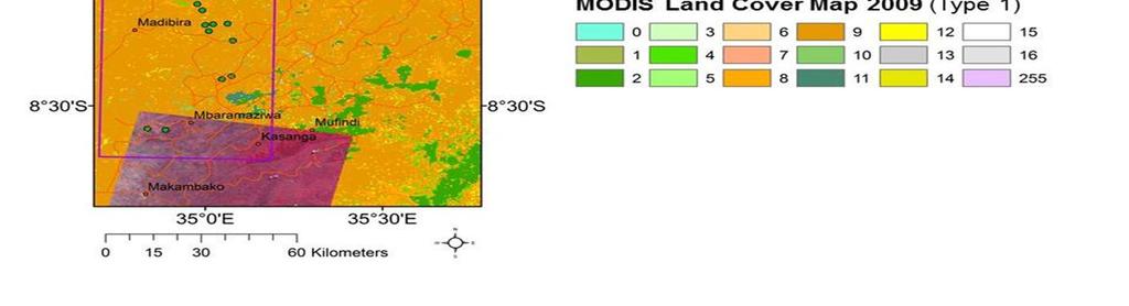 The resulting images were processed with CanEye Analysis software to obtain estimates of biophysical vegetation structure, including LAI and fraction of vegetation cover (Fcover) estimates.