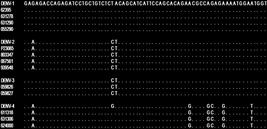 Generation of RNA standards The target region from the 3'UTR was amplified from DENV-3 (633798) and cloned into the pgem-teasy vector (Promega Corporation, Madison, WI, USA).