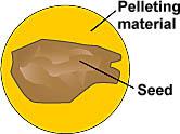 Seed Pelleting Provide Pathogen Protection