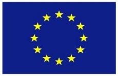From EU regulation into national legislation 1994 Packaging and packaging waste directive 2008 Waste Framework Directive 2006 Packaging decree 1979 Waste management law National waste management