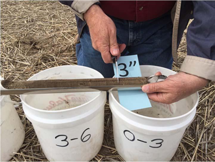 MATERIALS AND METHODS Three farmer fields were identified for the project, two in Columbia County (direct seeded or conservation tillage cropping systems) and one in Walla Walla County (basically