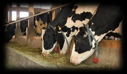 We are amongst very few dairy plant integrator in the world with a unique ISO 9001 registration from training, designing, manufacturing, supplying, installing and commissioning.