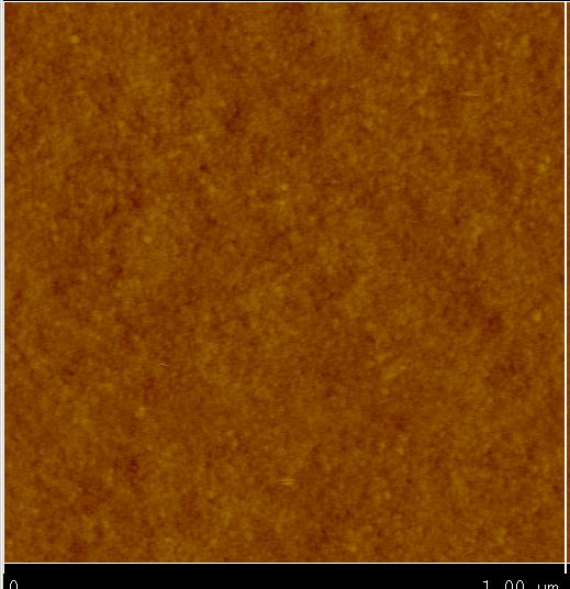 TM images show no nanobubbles in Ethanol.